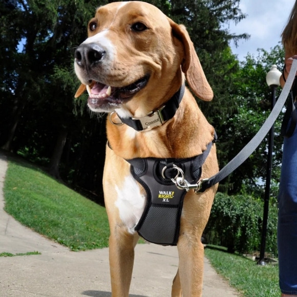 COASTAL PET WALK RIGHT PADDED DOG HARNESS LARGE - Picture 2 of 3